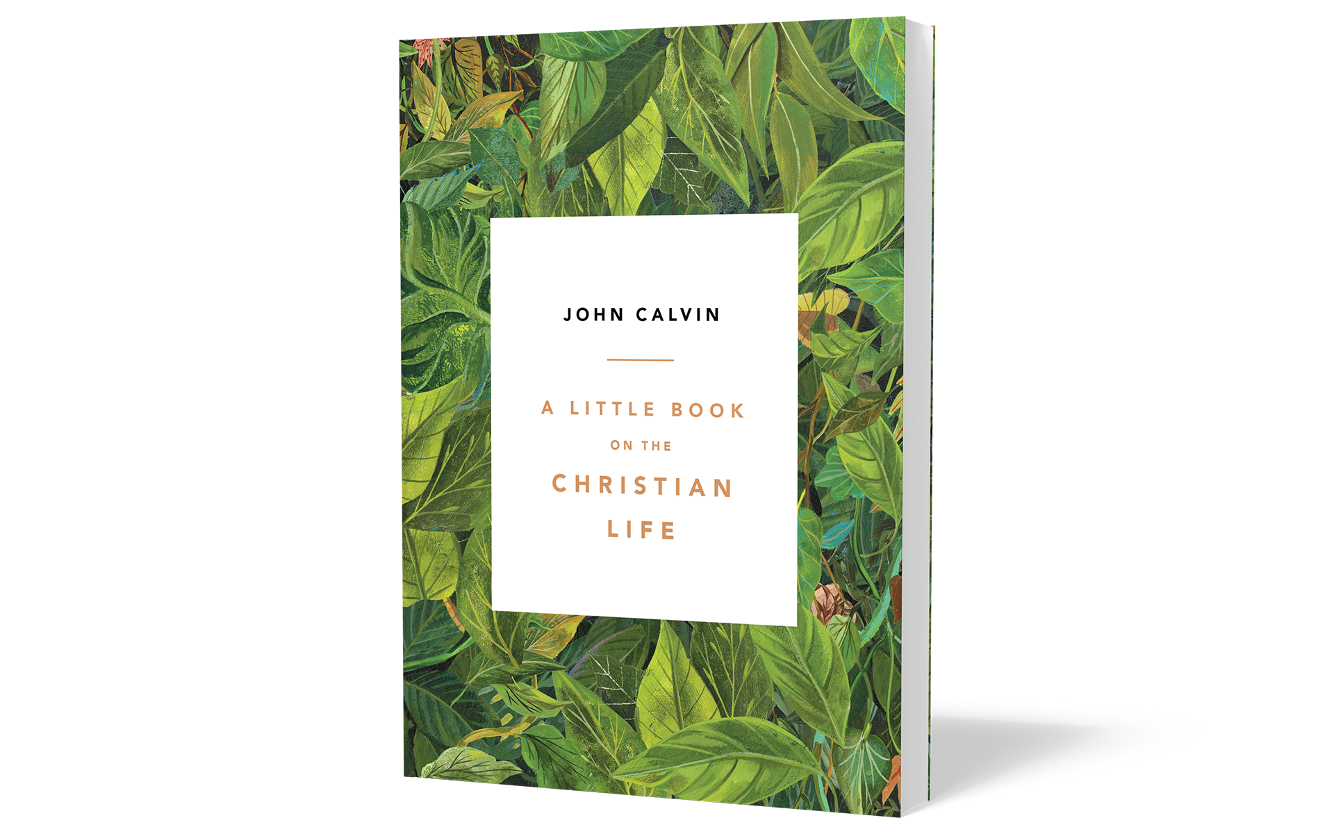 A Little Book on the Christian Life, leaves cover